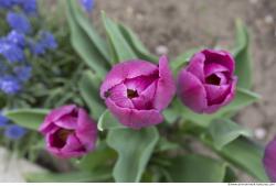 Photo of Mixed Textures